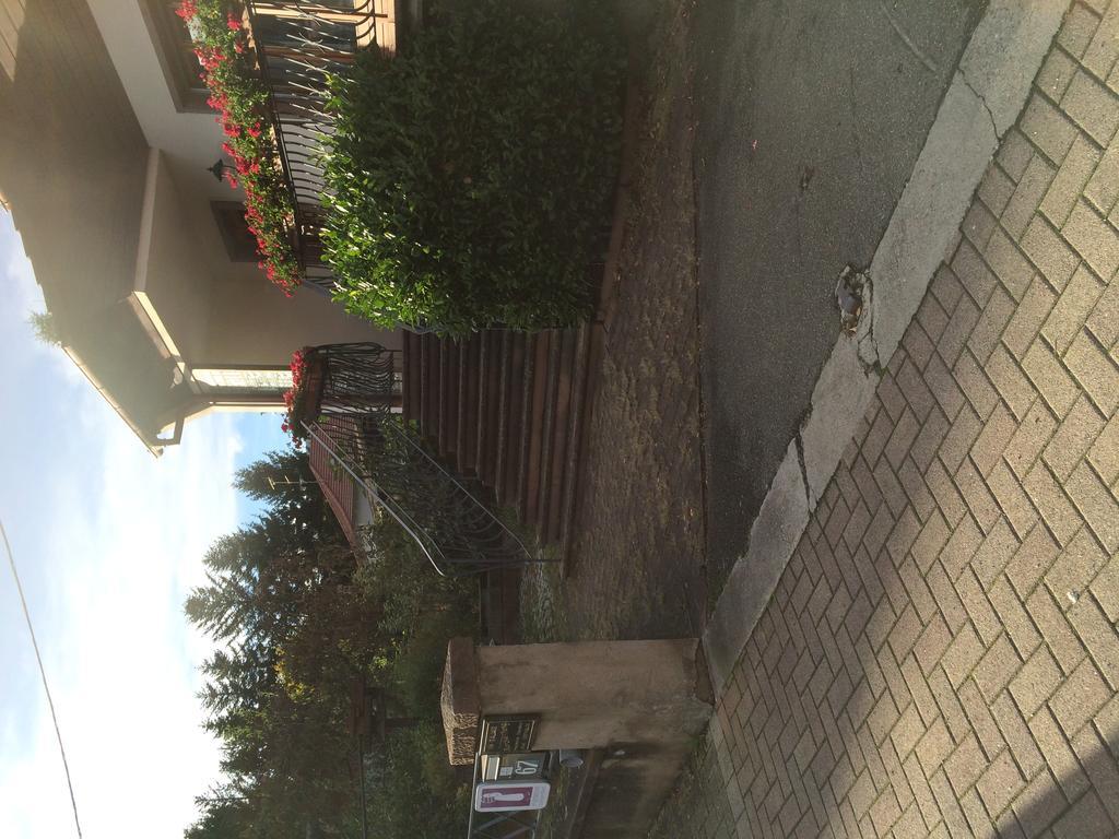 Gites Le Tokay Et Le Muscat Gertwiller Kamer foto